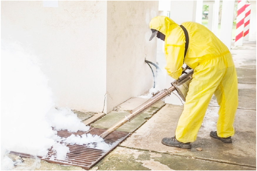 termite removal